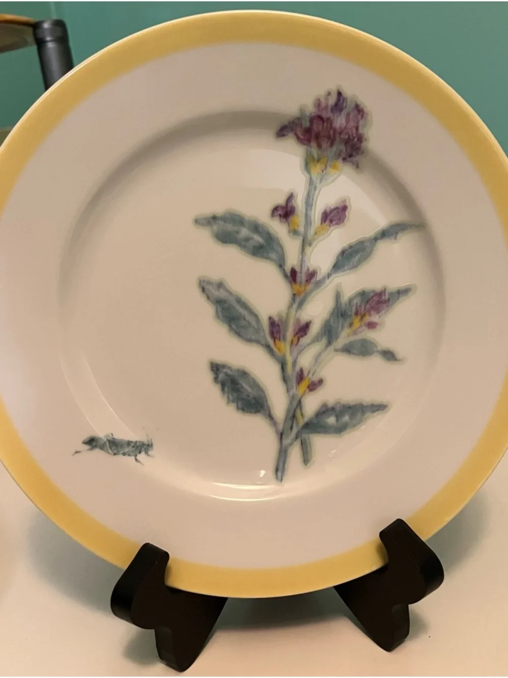 Williams Sonoma Yellow-Rim Flowering Herb Salad Plate 8 14/“